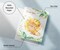 Twigs Paper - Jungle Jubilee Thank You Cards 12-Count - Tropical Animal Greeting Cards with Envelopes - Safari Zoo Animal Cards - Eco-Friendly Recycled Paper - Made in USA (5.5 x 4.25)